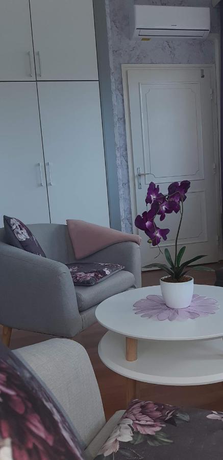Lila Ház Apartment Harkany Ngoại thất bức ảnh